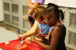 Thinkery Camps 2017