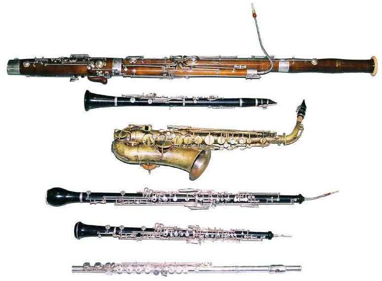 Factura Colonos Alfabeto The Science of Woodwinds - Thinkery